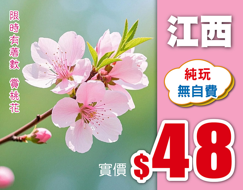 定南限時有著數 桃源樂境賞桃花 