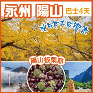 陽山板栗節 初秋賞千畝銀杏 雲冰山風車雲海 峽天下風景區 探秘鐘乳石奇觀燕窩洞 巴士純玩4天
