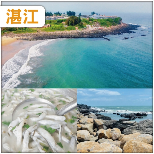 鮮美湛江-中國第一大火山島 湛江八景 之首【硇洲島旅遊區】美食純玩3天團