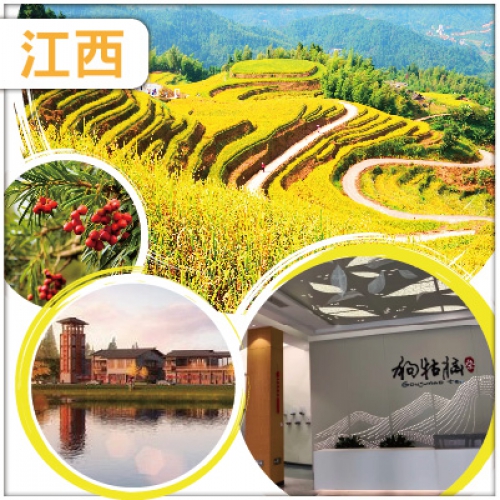 政府限時補貼：賞秋 全球十大醉美梯田 【桃源梯田】負氧離子爆棚【紅豆杉養生谷】 純玩3天