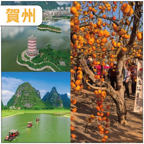 賀州 紅火的秋色誘惑 一年一度柿子節 遊走中國月柿之鄉恭城 小故宮 臨賀故城、百里水墨畫廊 純玩3天