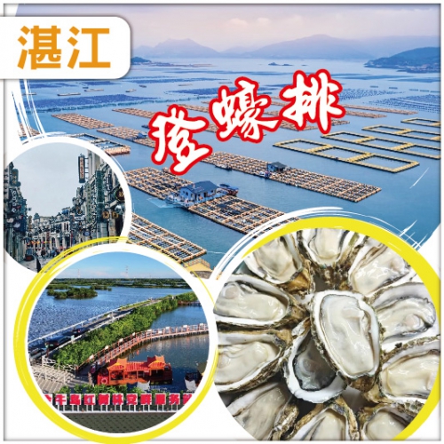 湛江 蠔鮮美-登蠔排任食湛江生蠔 廉江 老野粥檔金牌泥丁粥+芝士焗生蠔宴 純玩3天