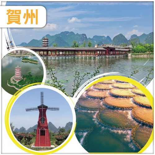 賀州 世界長壽之鄉 夢回黃姚 網紅魚麟壩 龍景玫瑰園賞花 打卡熱點永豐湖公園 純玩巴士3天
