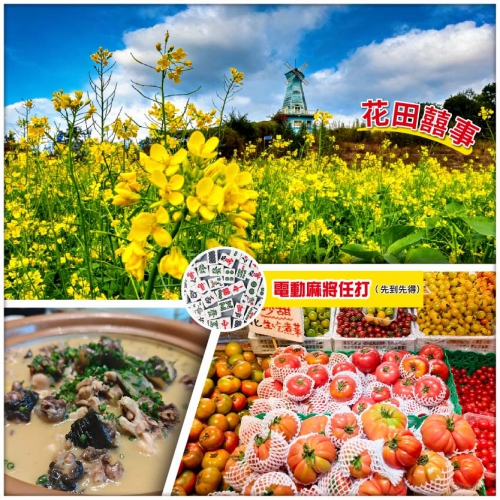 【Easy Go，10人保證成團】賞鳳凰山油菜花海 遊甘坑古鎮 掃農批靚貨（純玩2天）