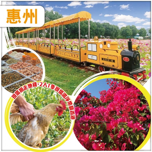 惠州 遊園小火車賞四季花海 1人1隻秘制雞批宴 2人一只果園走地雞現場湯淨帶翻香港 純玩1天
