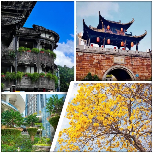 【Easy Go，10人保證成團】都市繁華處，別有桃花源 甘坑古鎮+阪田萬科廣場 純玩2天