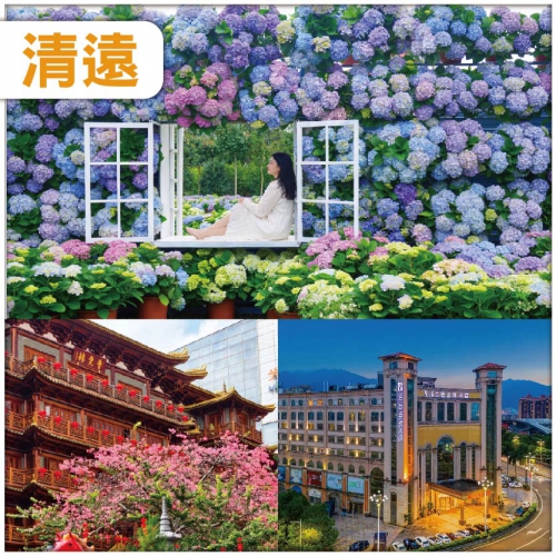 清遠 探秘老廣北京路 大佛寺 賞迷人繡球花海 入住栢蘭德金菱酒店-位上百香果鮮鮑魚自助晚餐 純玩2天