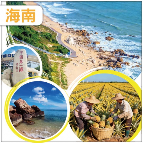 中國大陸最南端菠蘿的海 醉美椰城海南木蘭灣 風車海岸 湛江海豚灣 茂名中國第一灘旅遊度假區 純玩4天