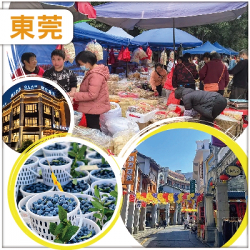 河源 最熱鬧的土貨中心 任摘任食四季果園南園古村 入住河源.歐蘭酒店2天