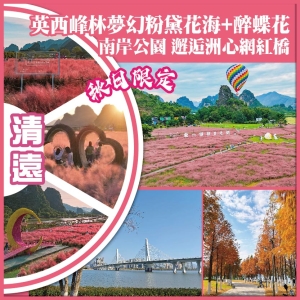 清遠 秋日限定 英西峰林夢幻粉黛花海+醉蝶花 清遠版 小洱海 南岸公園 邂逅洲心網紅橋 純玩2天