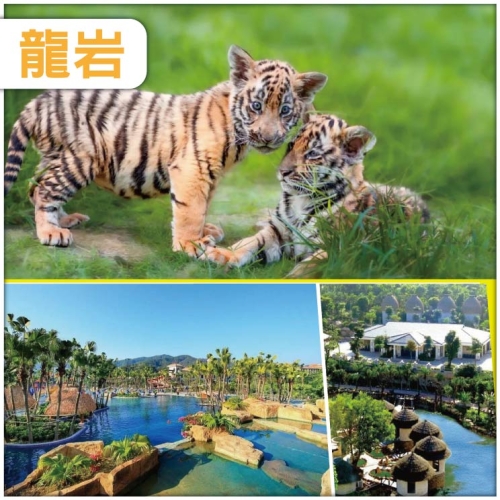 福建 歎溫泉&middot;魅力虎園 華南虎的故鄉&mdash;中國虎園-連住兩晚五星龍岩天子國際溫泉度假村 巴士純玩3天