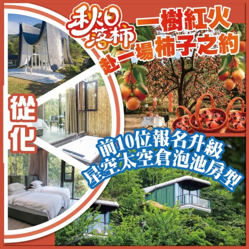 從化 秋日落柿 一樹紅火 赴一場柿子之約 山谷秘境 前10位報名升級星空太空倉泡池房型  純玩2天
